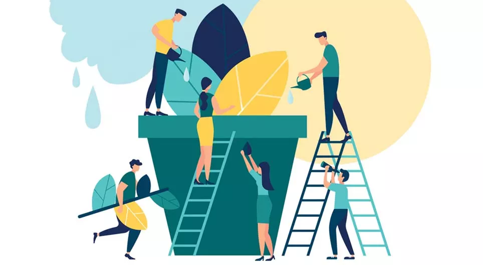 植物以什么为食?