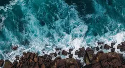 世界の海はどのように動いているのでしょうか。