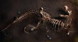 化石は何を物語っているのか。
