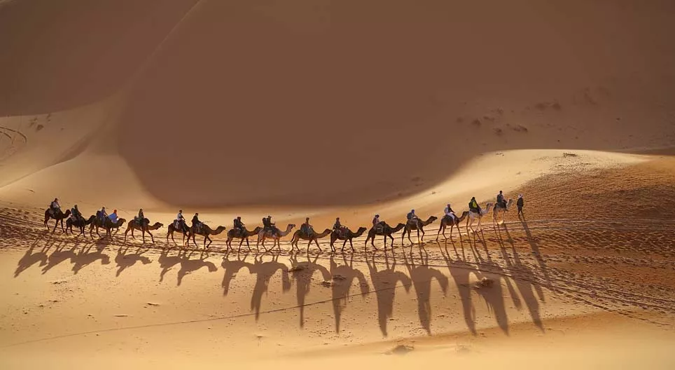 加入大篷车队吧！