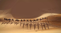 대상과 같이 갈래요?