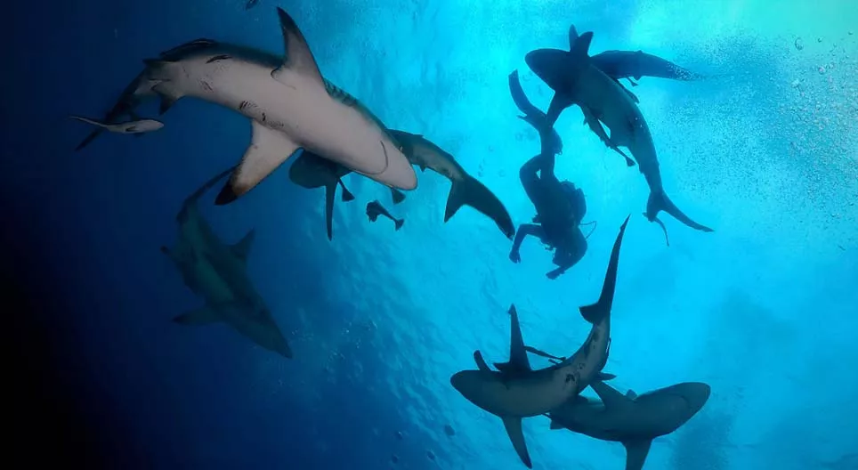 让我们跳进去！