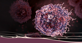 두려워할 진단: 암