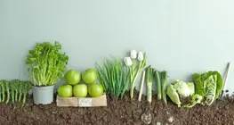 種か作物か？