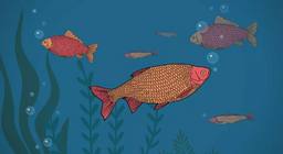 魚は飲みますか？