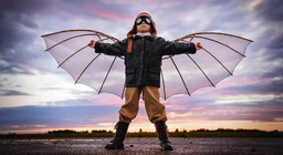 人間はどのように空気を征服しましたか？