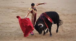 牛は闘牛マントをどう見るのか？- 動物の視覚