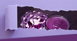 Let's make an indicator from red cabbage