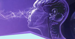 Sensors and receptors