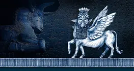 ハムラピ