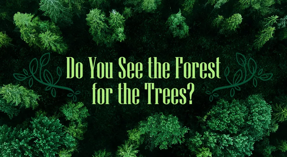 Do You See the Forest for the Trees?