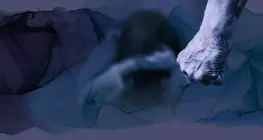 虐待的な関係