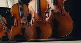 弓で演奏する弦楽器