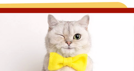 ¿Tienes animales en casa?