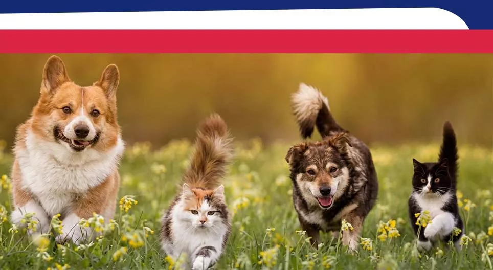 Nature et animaux