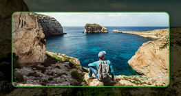 Your school's cultural diversity (project)