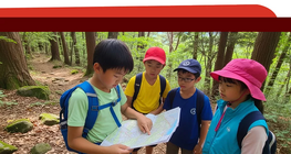 Plural Personal Pronouns