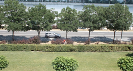 Uniform motion of a bicycle along a straight line