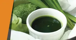 葉の色