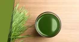 草スープの秘密
