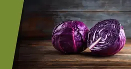 色とりどりの赤キャベツ
