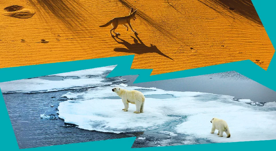 Dlaczego na Ziemi powstały pustynie i pokrywy lodowe?