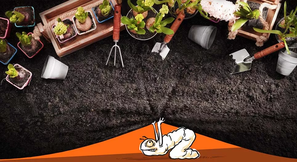 Co dzieje się w ogrodzie?