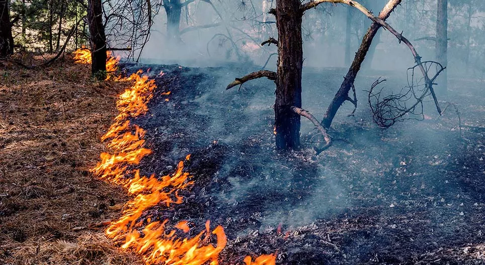 Od jak dawna używamy ognia?