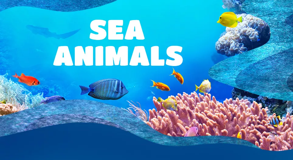 Sea Animals