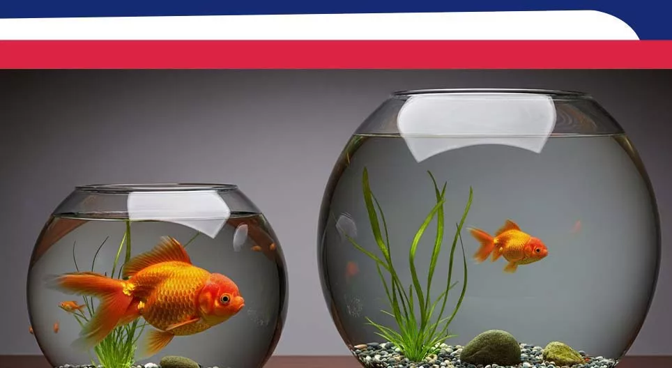 Le comparatif et le superlatif