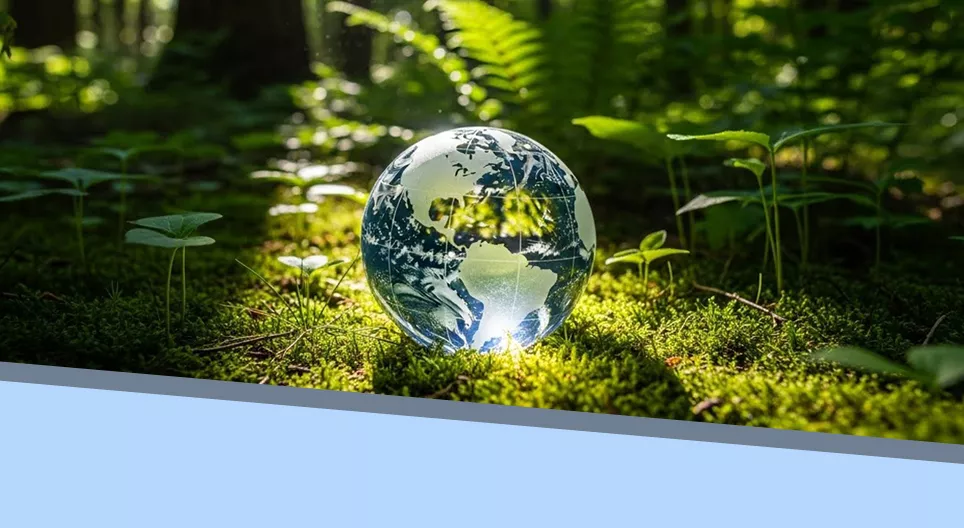 Ecology and Human Environmental Impact