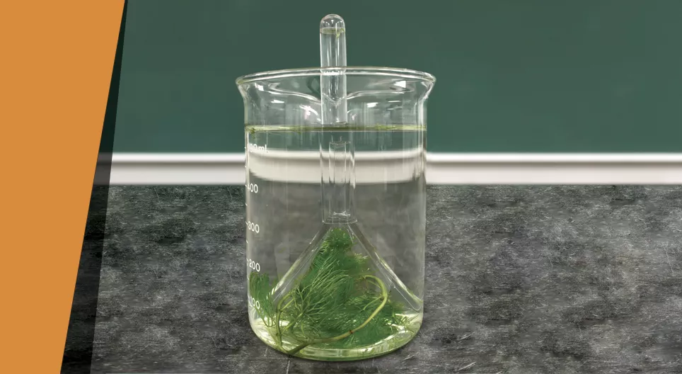 Tlen wytwarzany w domu