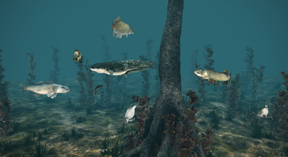 Gatunki ryb słodkowodnych