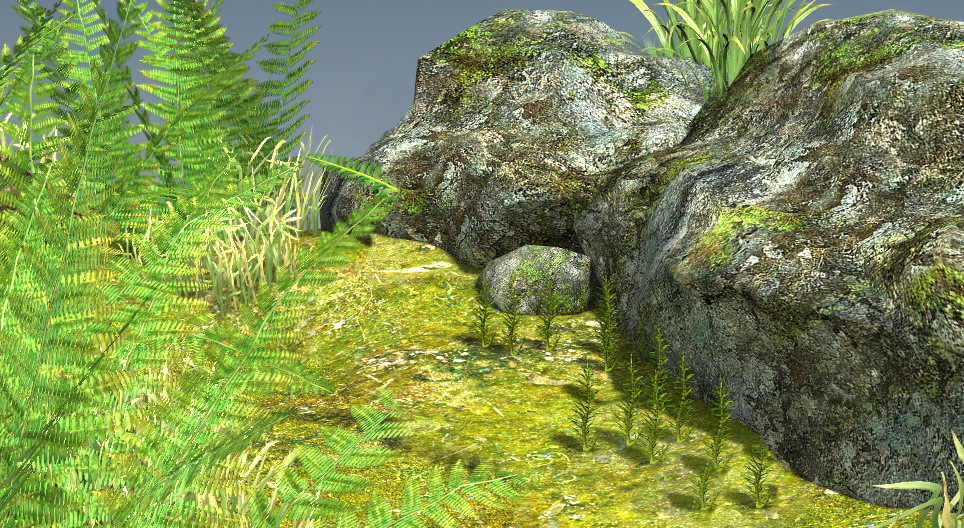 Cykl rozwojowy mchów i paprotników