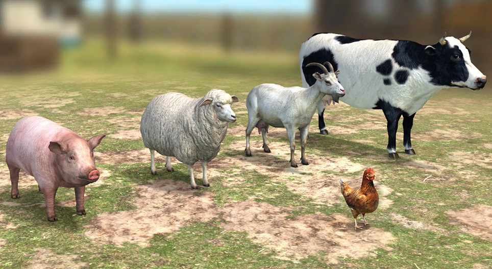 Zwierzęta gospodarskie