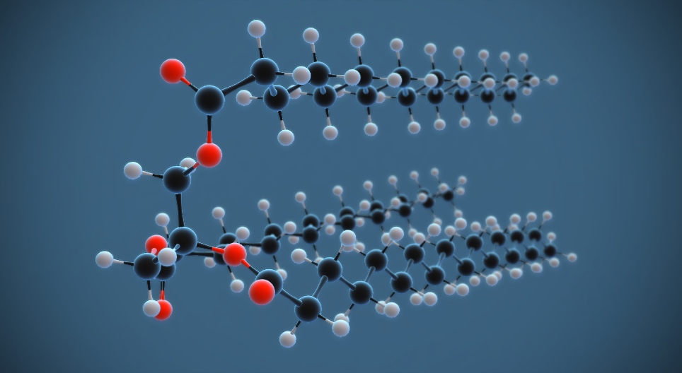 Cząsteczka tłuszczu