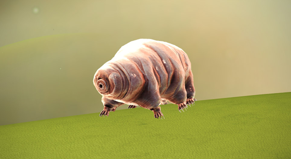 Tardigradă