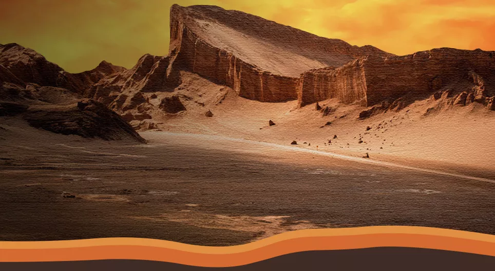 Verseny a fehér aranyért