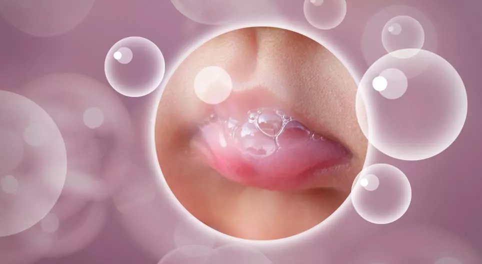 СЛЮНА, универсальная жидкость организма