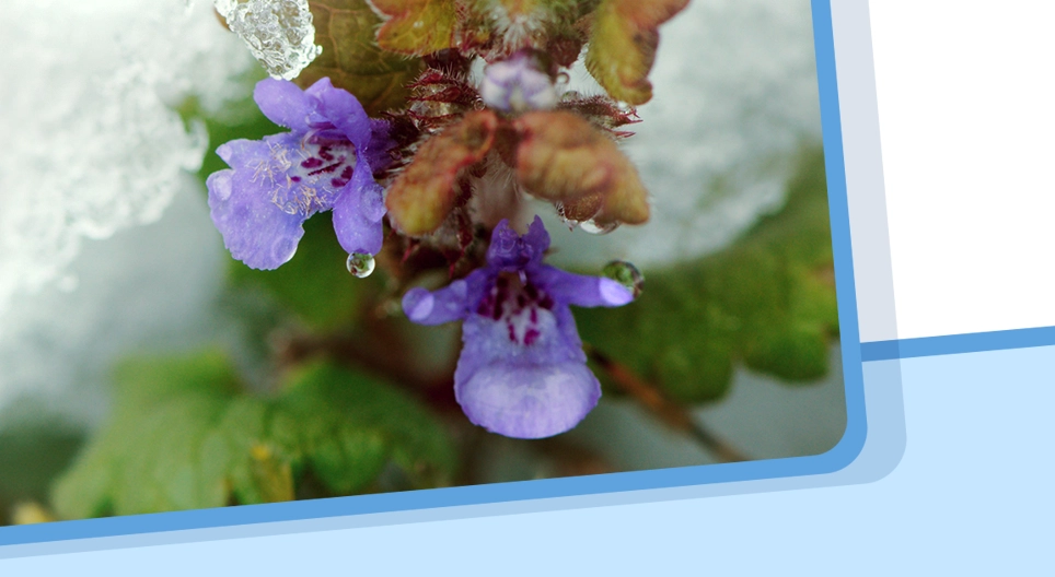 Агрегатное состояние вещества, изменение агрегатного состояния