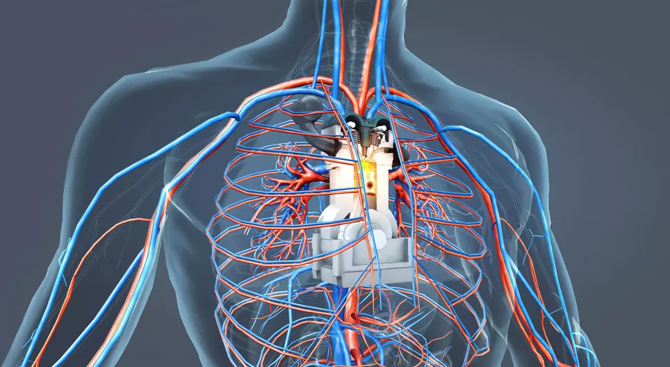 Двигатель человеческого тела