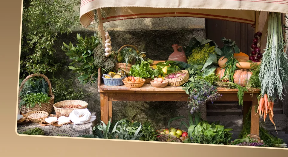 Malta's economy and society in the late Middle Ages 2. – Society