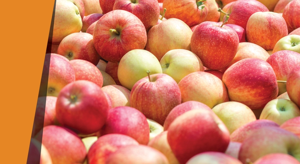 Яблоко, пахнущее миндалем