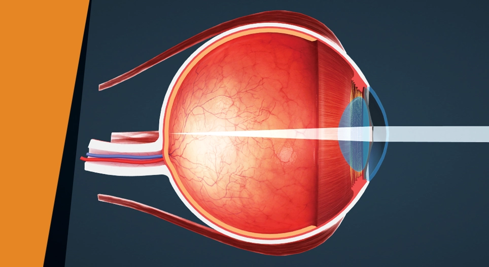 Слепое пятно