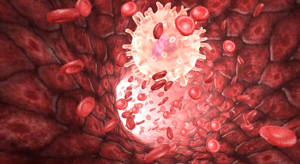 The human blood
