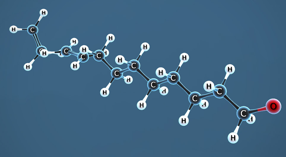 Polymerisation of ethene