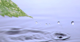 Napięcie powierzchniowe wody