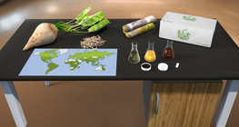 Sugar production