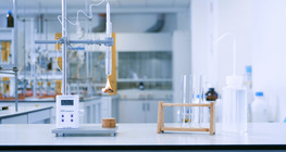 Czy orzechy się palą?