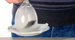 Magnetyczny kieliszek